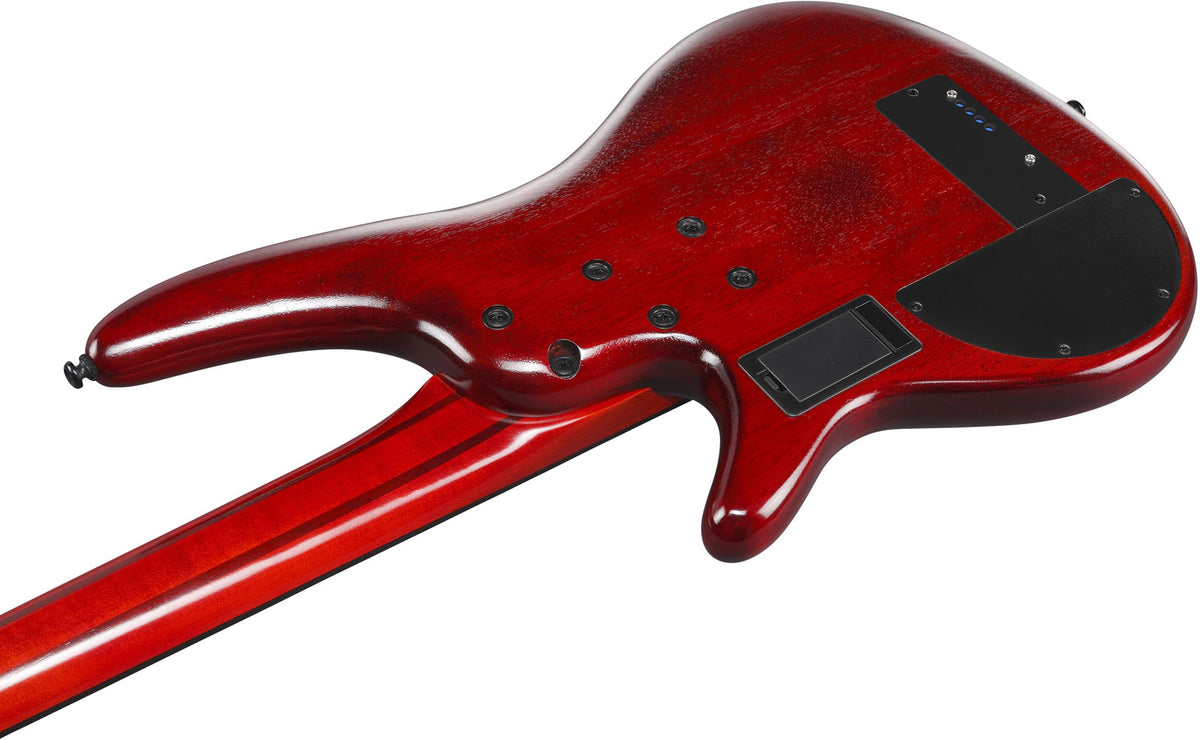 SRD900F-BTL Topasbrauner Burst Bass Workshop
