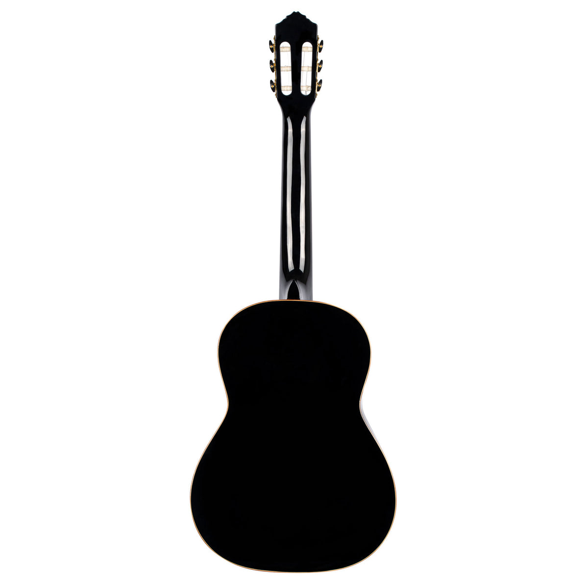 4-4 R221 Spruce Black