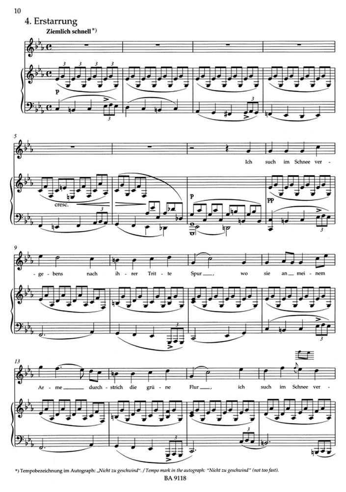 Schubert F. - Winterreise Op.89 D 911 - Voix Haute Piano