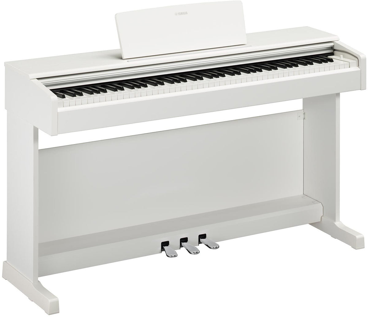 Arius YDP-145 Weiß