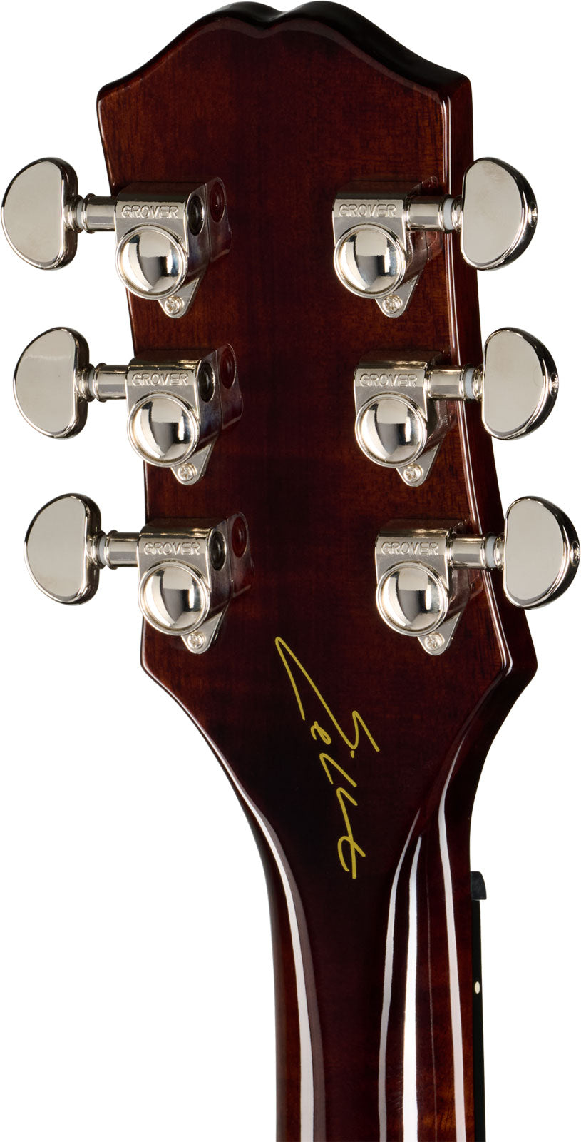 Hummingbird Signature Eric Church Dunkler Cobra Burst IBG