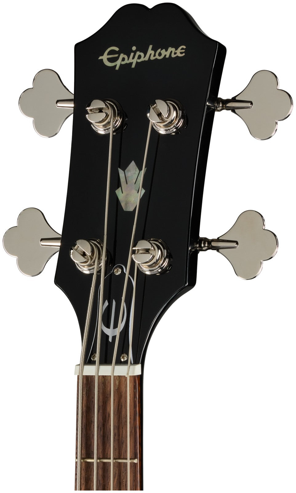 SG Bass Ebony IBG