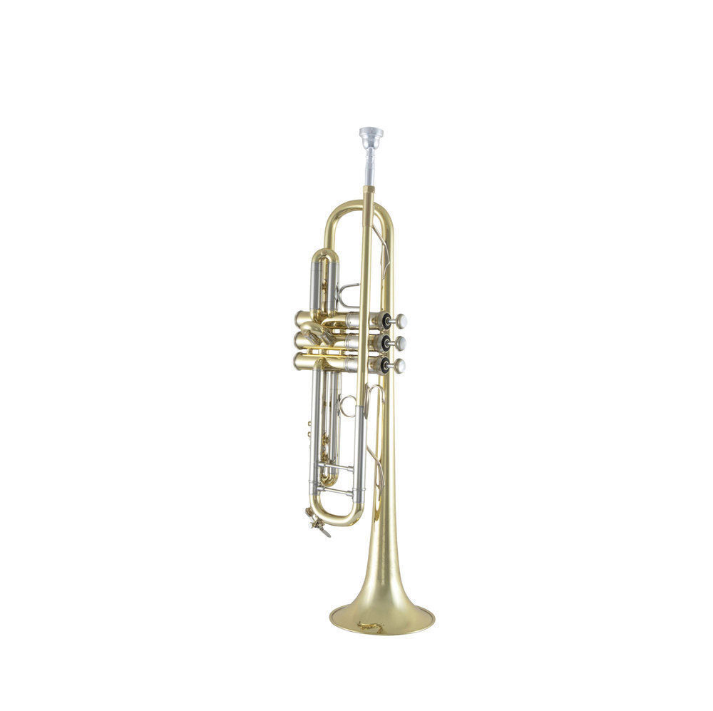 190S43 - Bb STRADIVARIUS LACKIERT