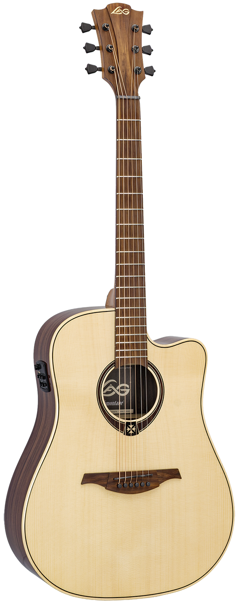 Tramontane 218 Dreadnought Elektro Cutaway