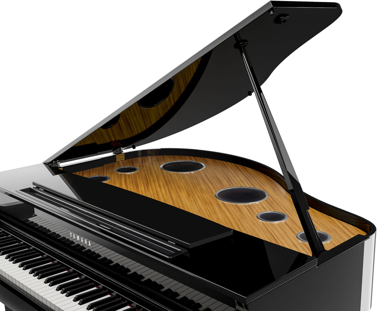 CLP895GP Schwarz
