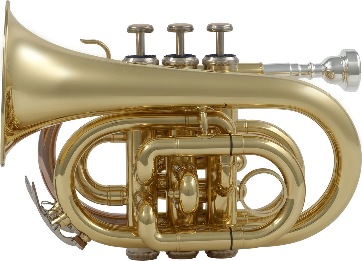 WTP200P - B b Lackiert