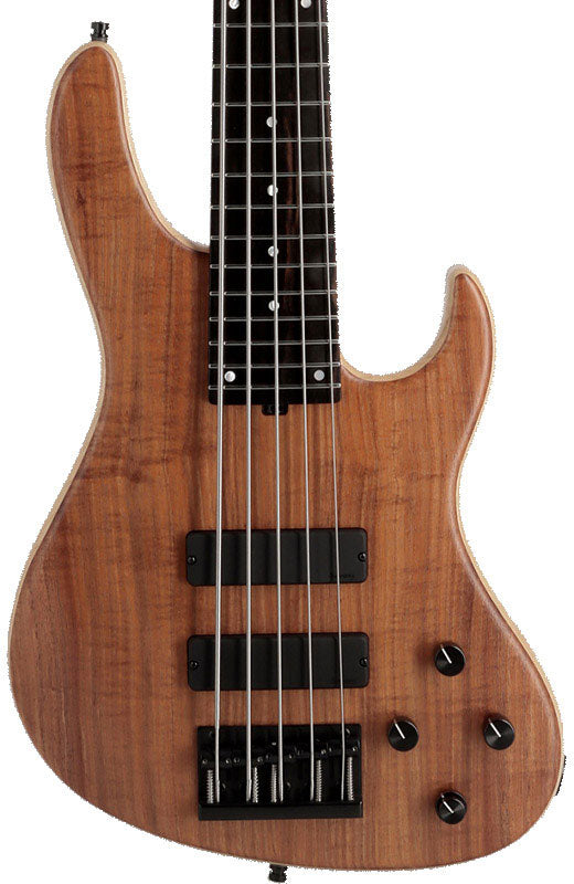Modern Bass Metroline 5 LTD 2025