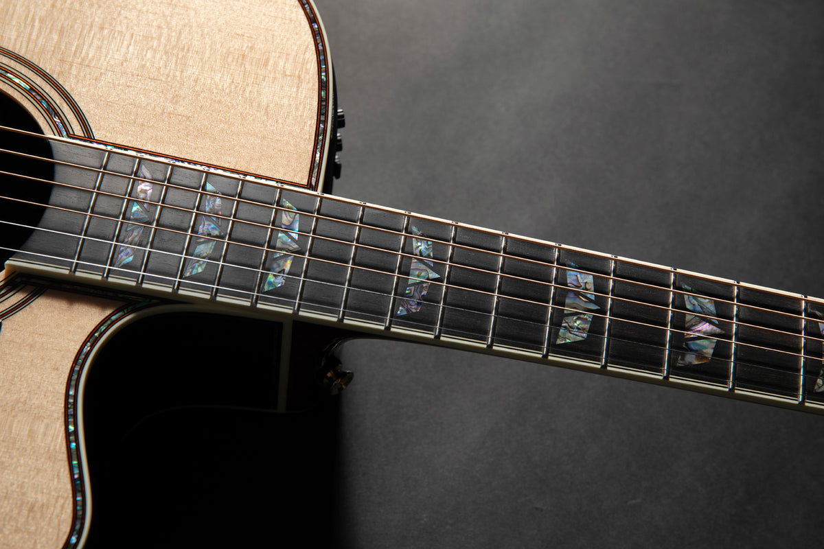 Dreadnought Cutaway Elektro P10DC