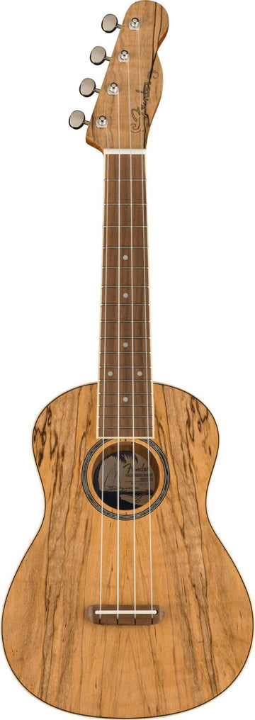 Zuma Uke Exotic Concert Wn Spalted Maple