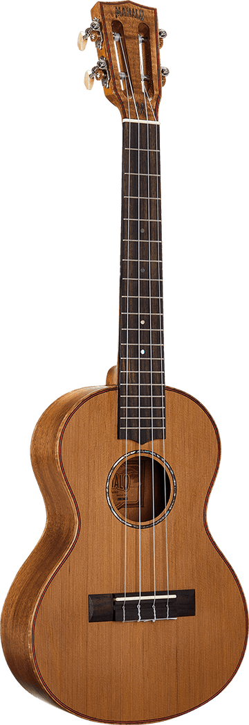Naturbelassener Tenor + Tasche