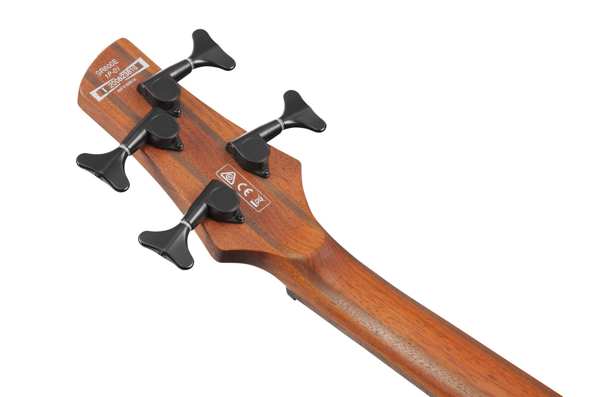 SR600E-AST Antikbraun gebeizter Burst