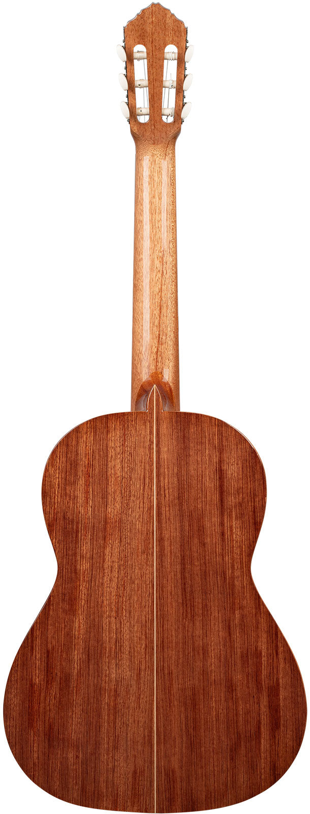 Traditional 4/4 + Pro-Gigbag