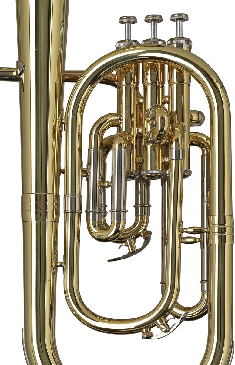 Ambition AH650 Althorn Lackiert