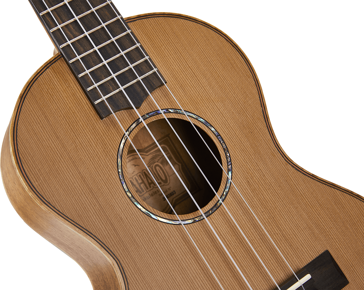 Naturbelassener Tenor + Tasche