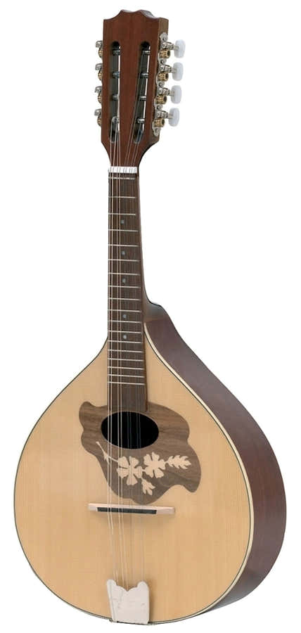 Flachmandoline Pro Arte Model 2 Hochglanz