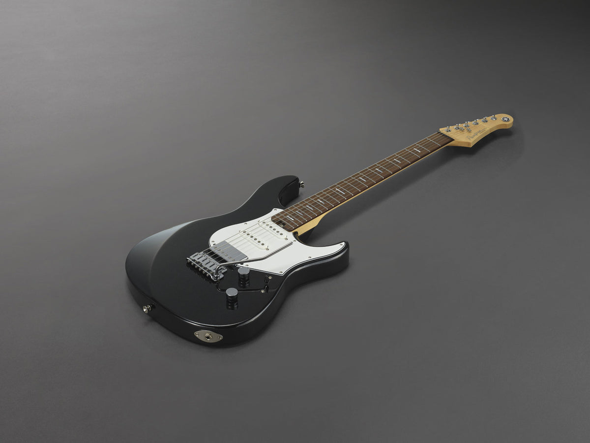 Pacifica Professional Pacp12-Bm Rw Black Metallic