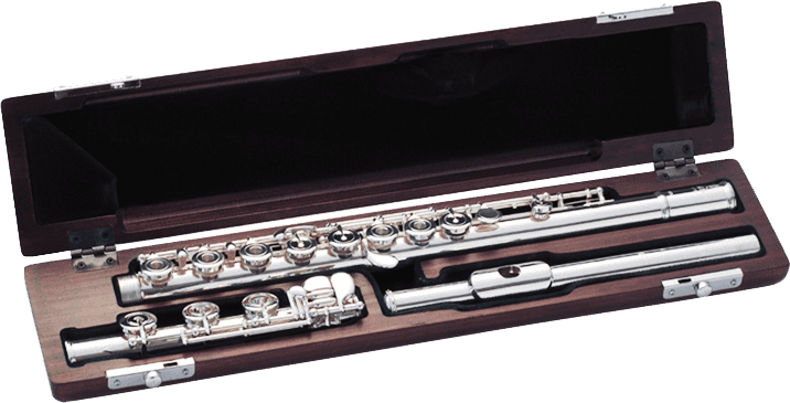 ETUI DOLCE ET ELEGANTE H-FUSS