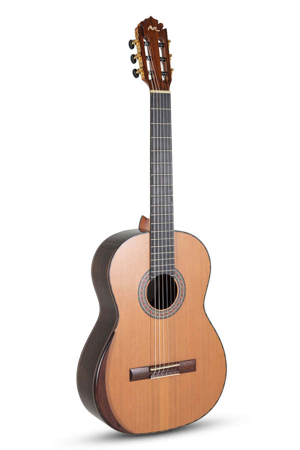 Magistral-Serie F Ind. Palisander Vollmassiv Zeder-Palisander F-C