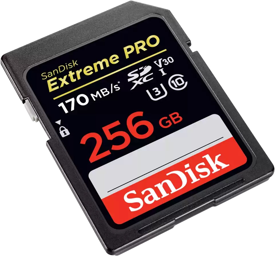 Extreme Pro 256 Go