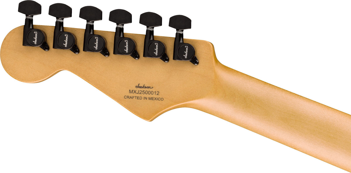 SC1 LTD 50e Jahre Adrian Smith Signatur Iron Maiden