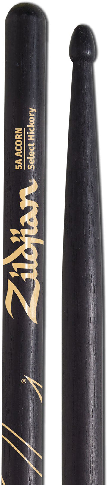5A Eichel Schwarzes Hickory
