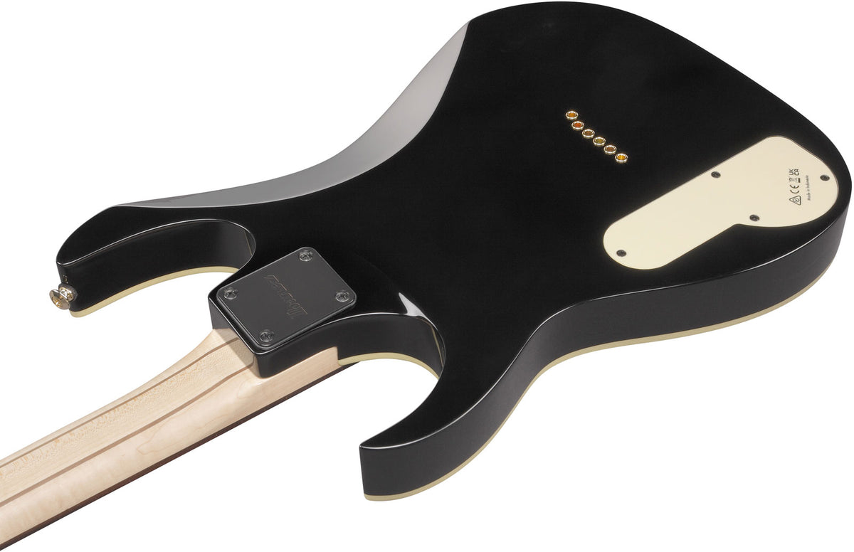 PGM50-BK Schwarz Signature Paul Gilbert Premium