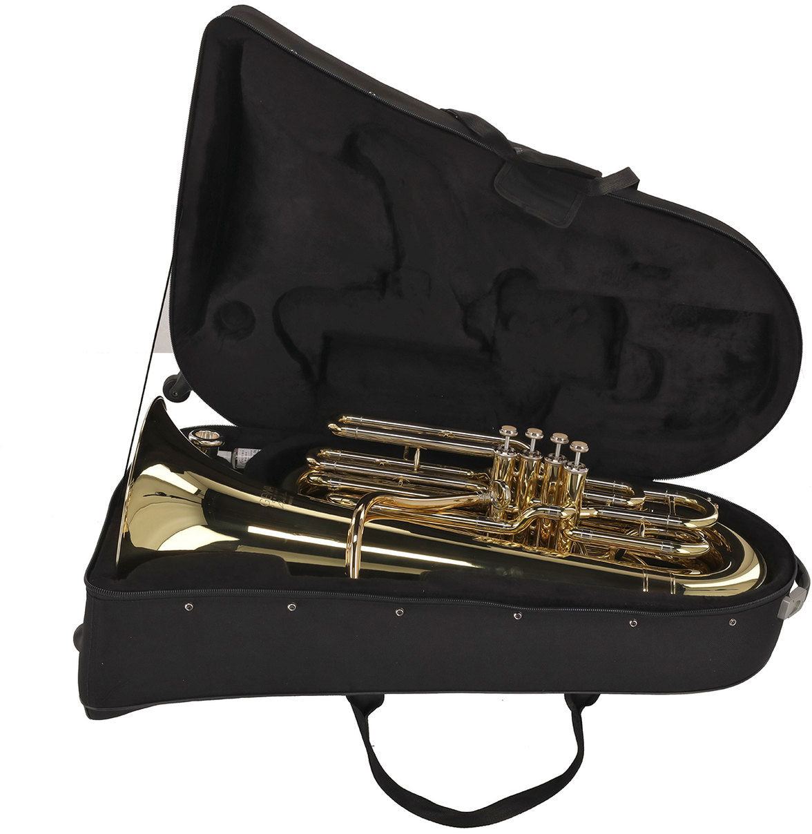 Ambition BB501B Contrebasse Sib Verni