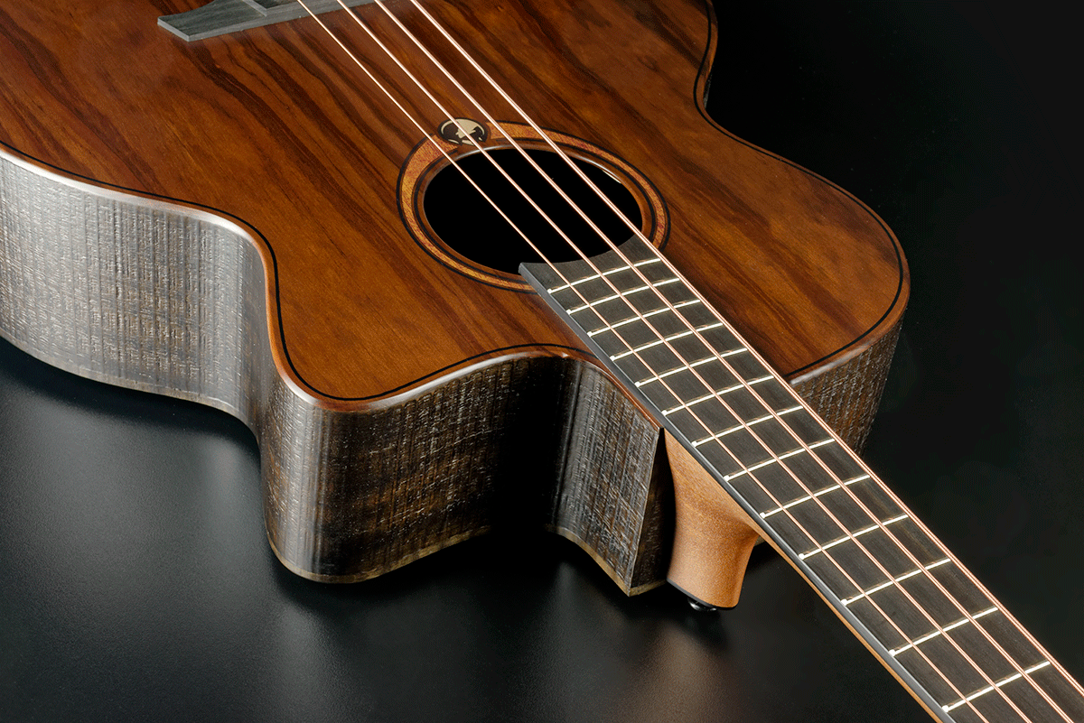 Sauvage Elektroakustischer Bass Ctw
