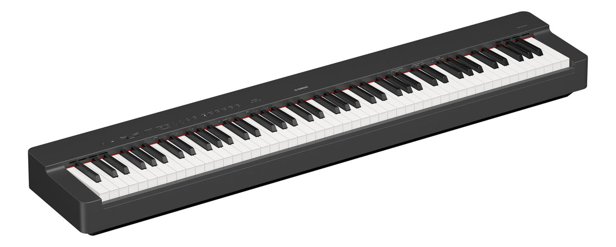 P-225 schwarz