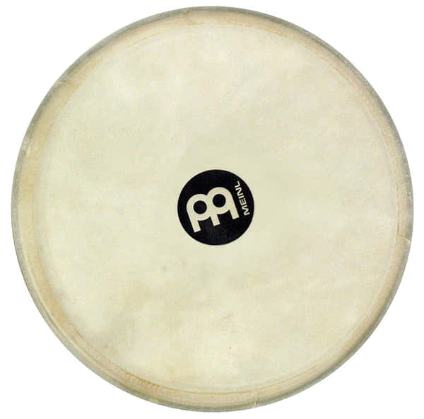Meinl TSG01 HEAD