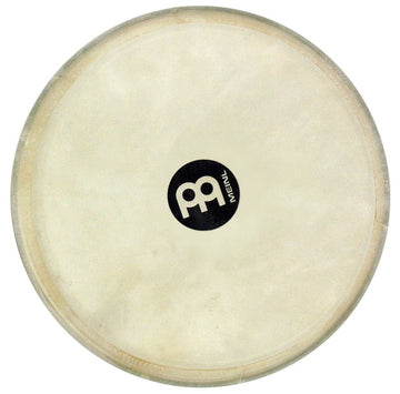 TSG01 HEAD