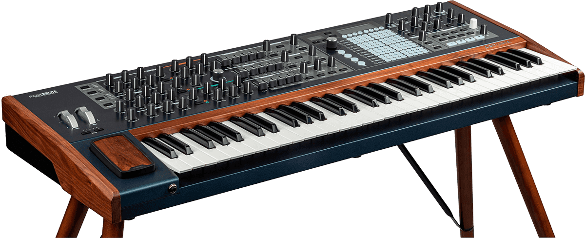Polybrute