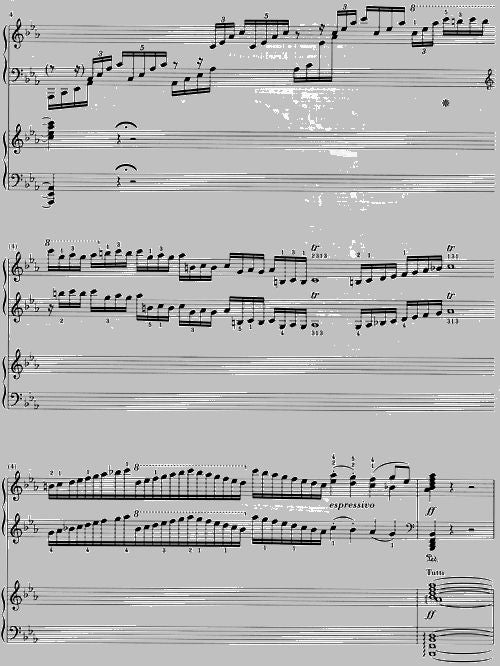 BEETHOVEN L.V. - CONCERTO FOR PIANO AND ORCHESTRA NO. 5 E FLAT MAJOR OP. 73
