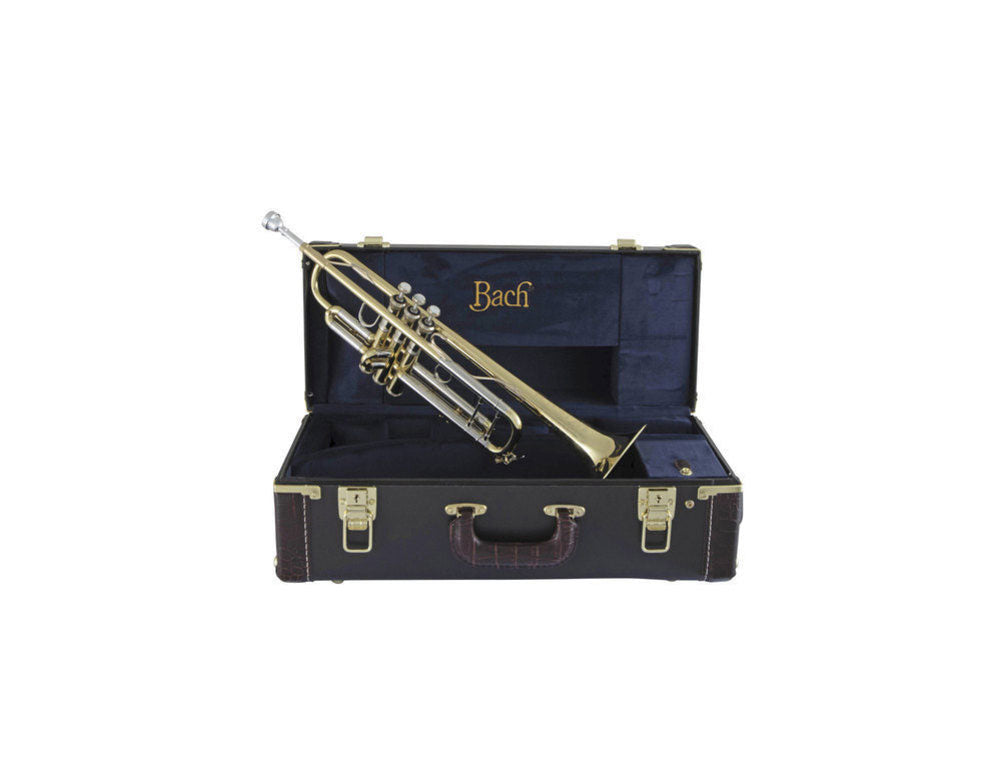 190S43 - Bb STRADIVARIUS LACKIERT