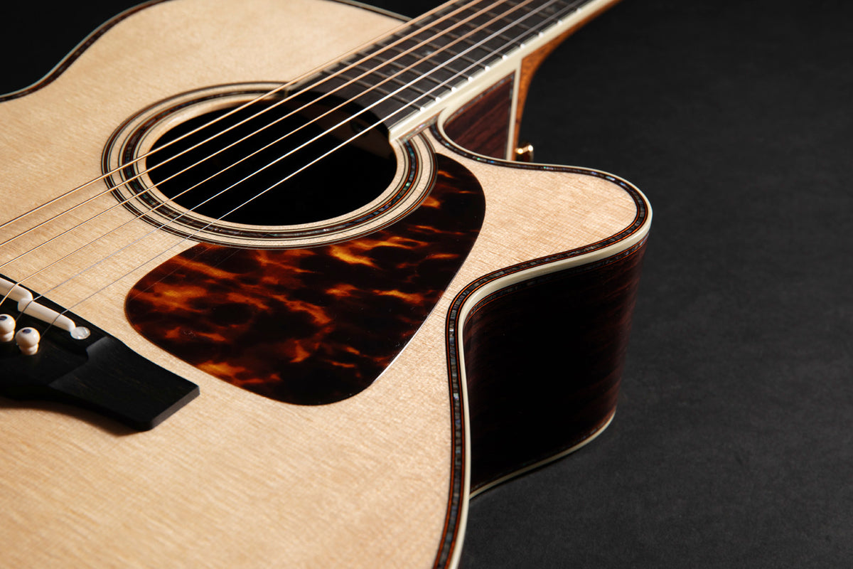 Nex Cutaway Electro P10NC