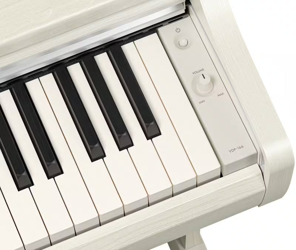 YDP-166 White Birch