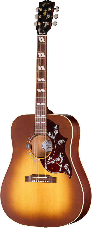 Hummingbird Special Satin-Honigburst Modern