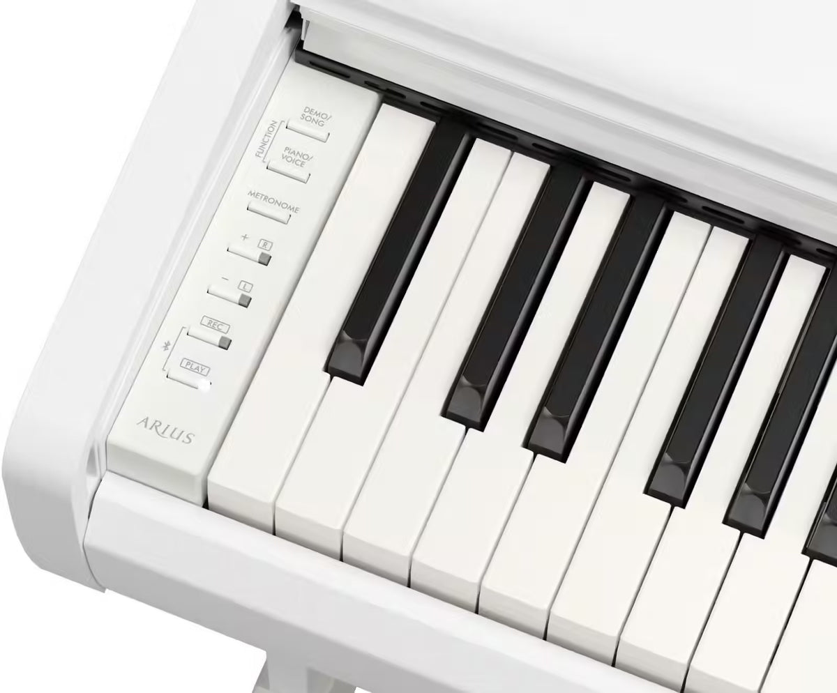 YDP-146 White