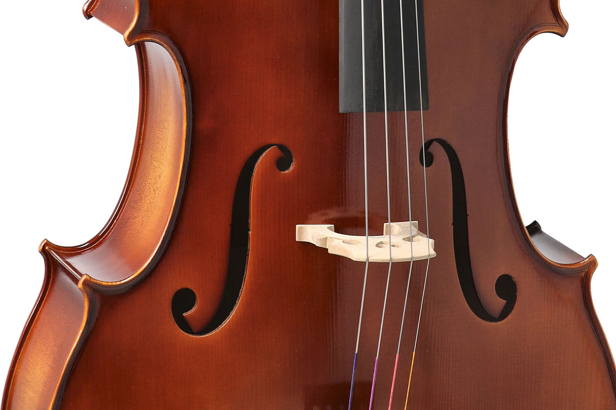 ANNIVERSARY CELLO 1/4 SET UP