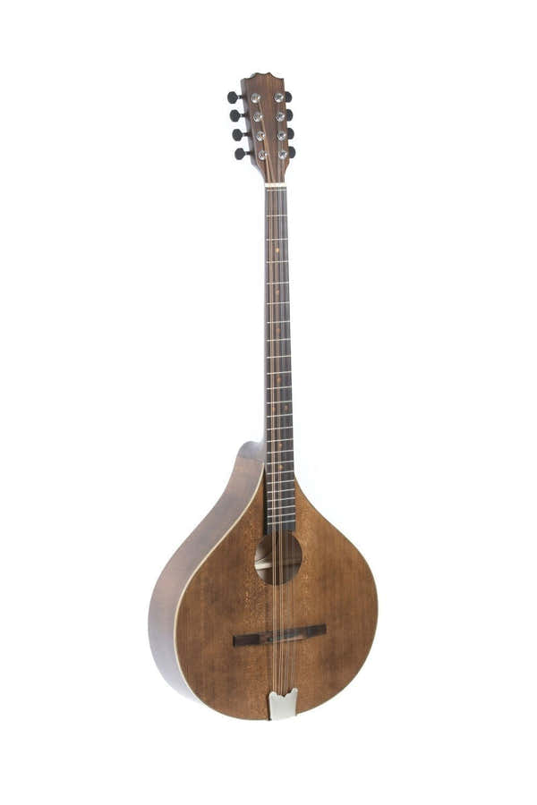 Irischer Bouzouki Pro Arte Antique Antique Vollmassiv
