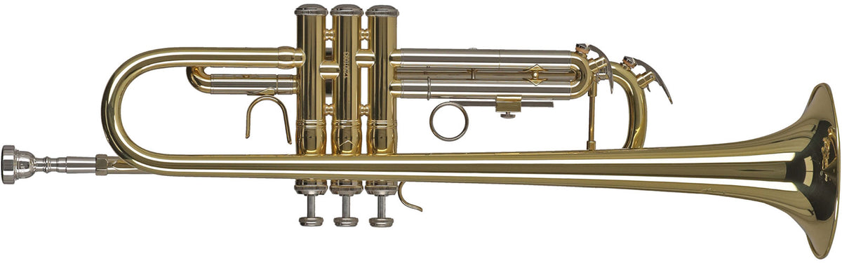 Ambition TR650 Bb Lacquered
