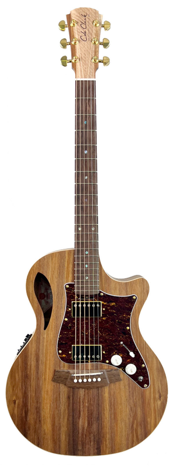 Tl2Ec-Blbl-Hh Case