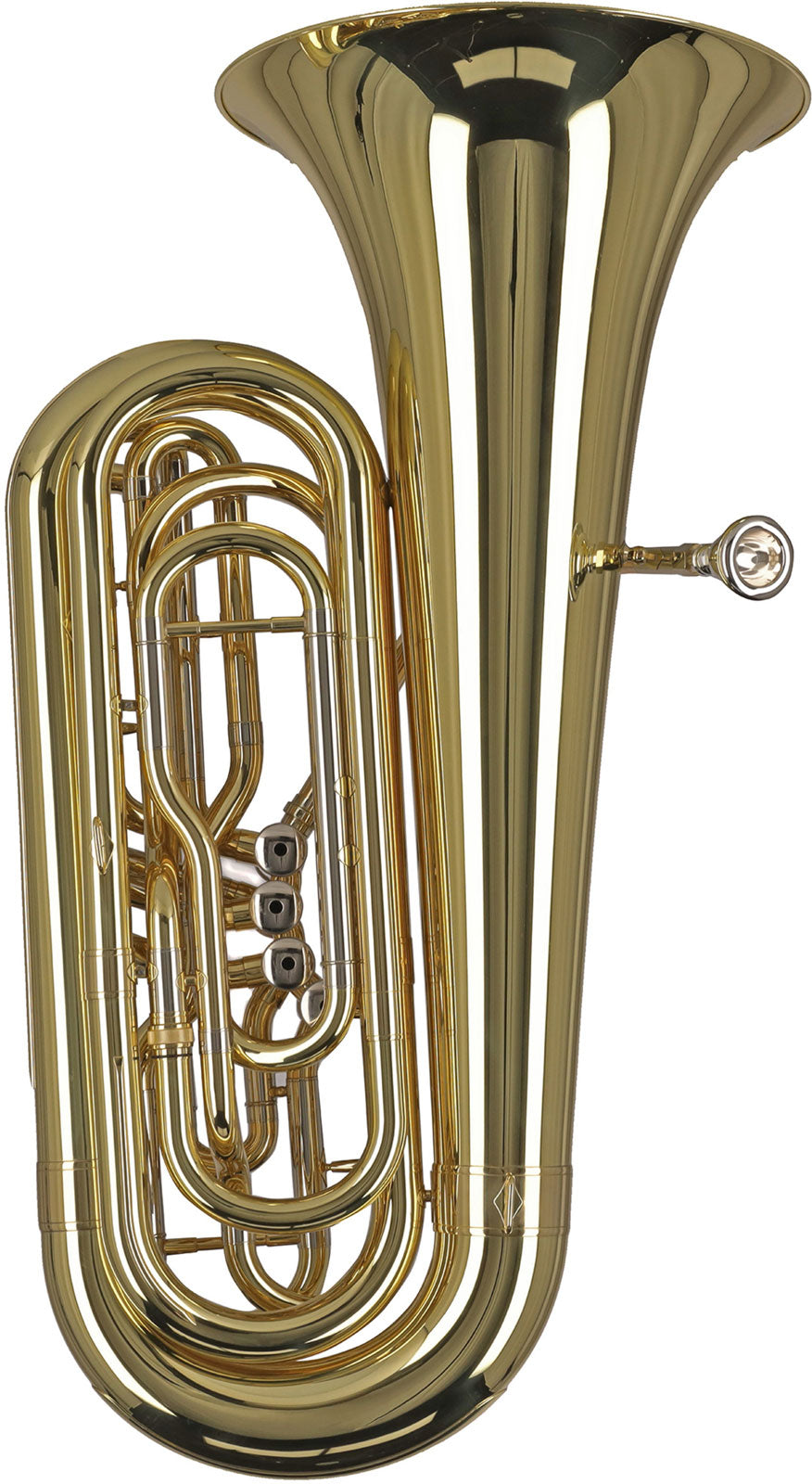 Ambition BB501B Contrebasse Sib Verni