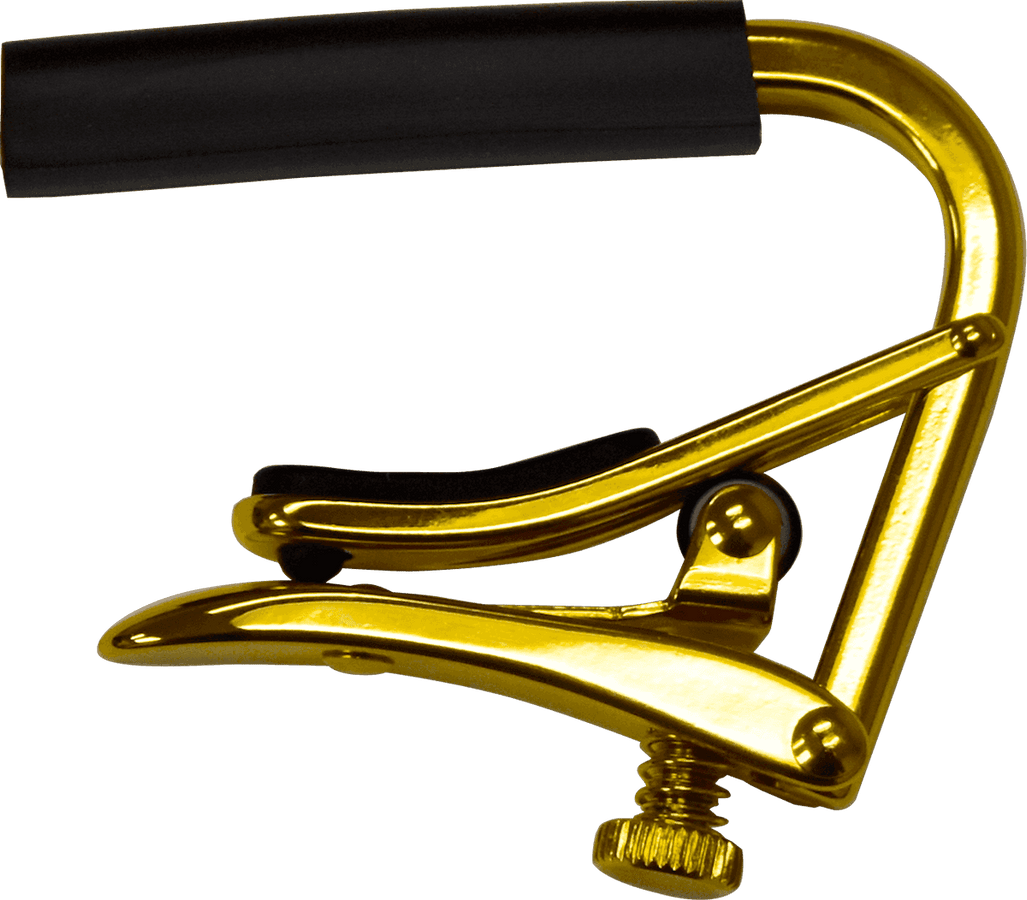 Gold 12-saitig