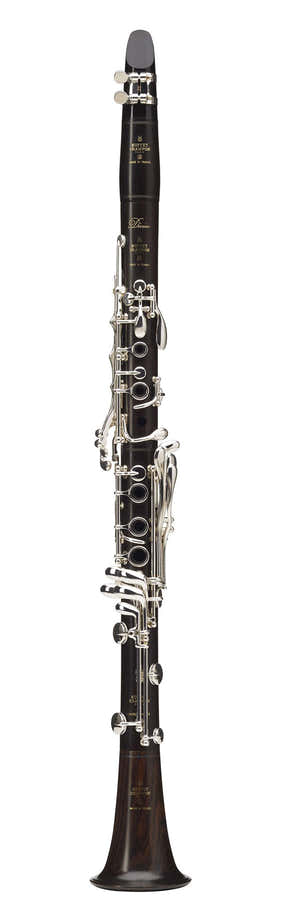 Divine B (19 Tasten) - BC1160L-2-0