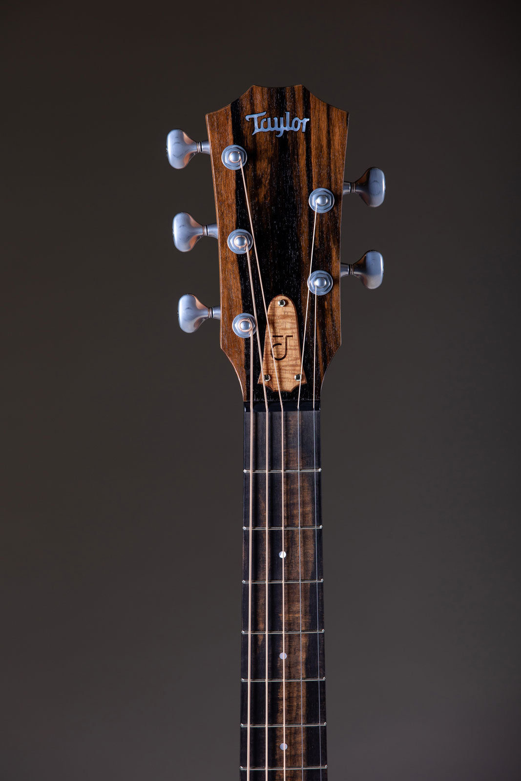 Jacob Collier Signature Model JCSM 5-saitige Natural Grand Concert