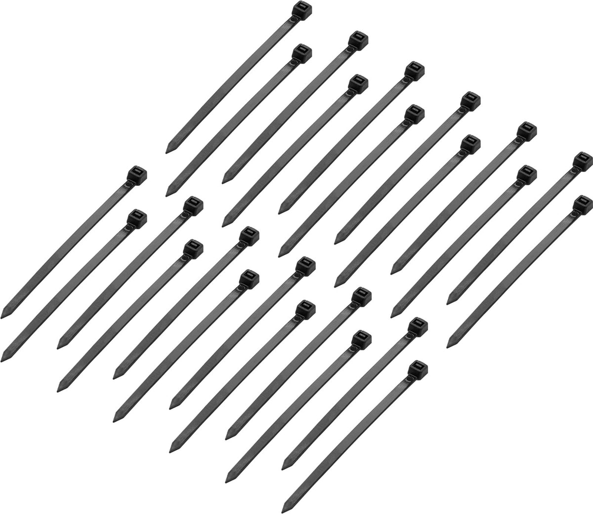 Slash 3.0, set, zebra, 4 Conducteurs & Short Ears
