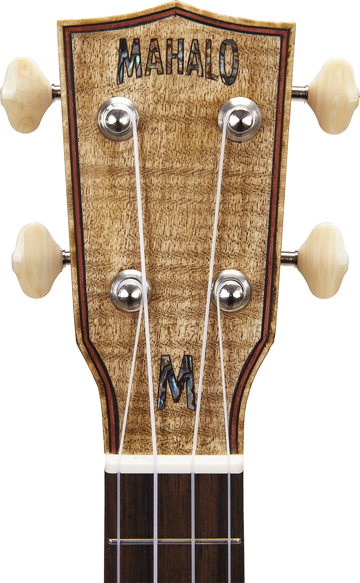 Mm1
