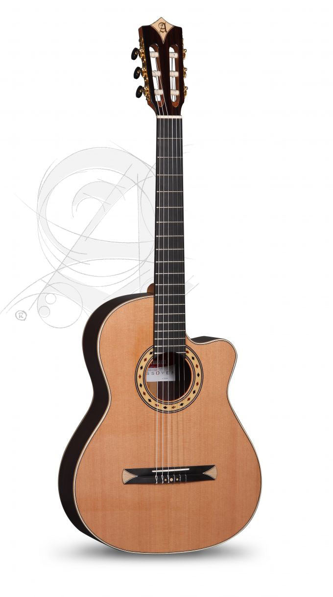 Concert Cs-3 Cw E8 Crossover + 9738 25mm Gigbag