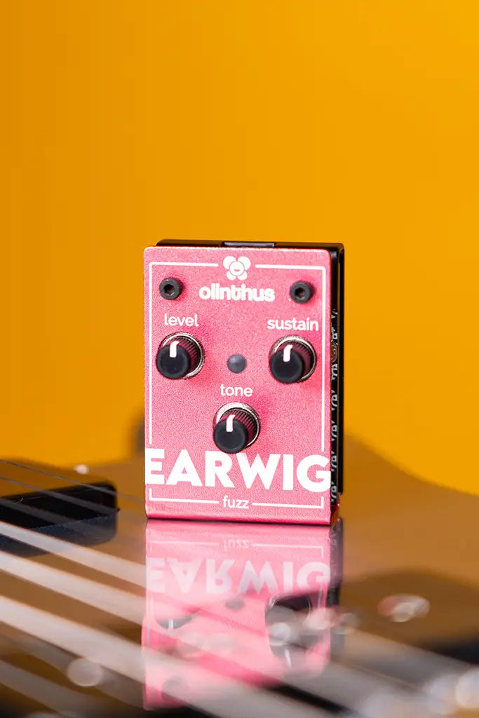 Earwig - Fuzz